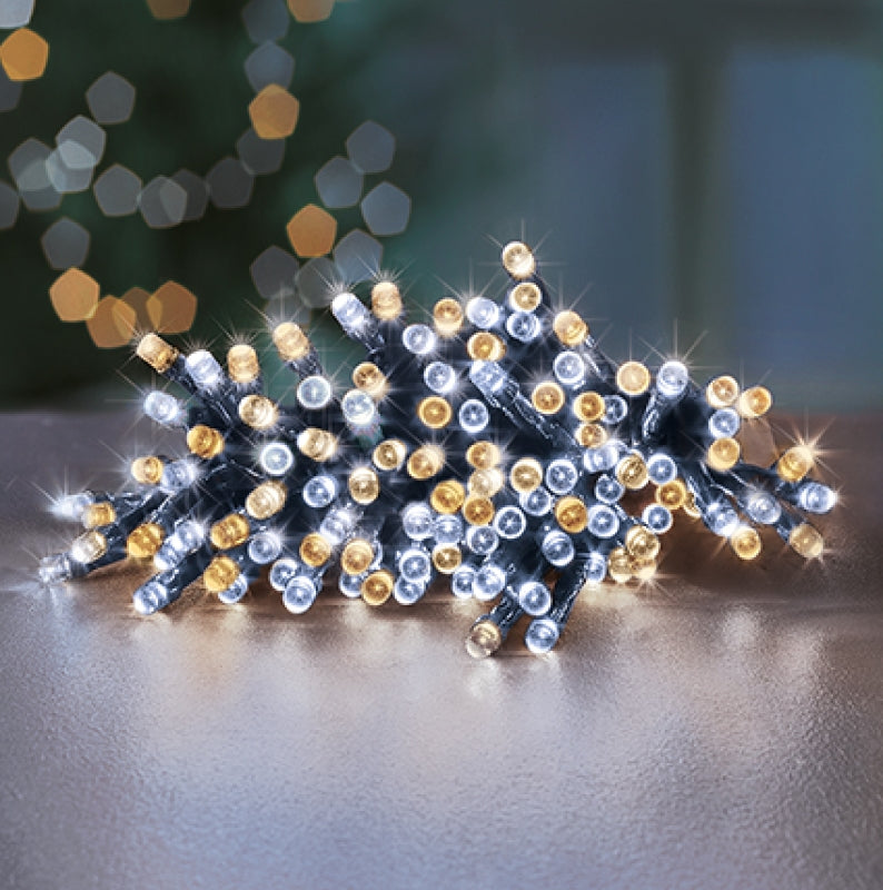 Premier 24 White & Warm White LED Lights - Battery Operated