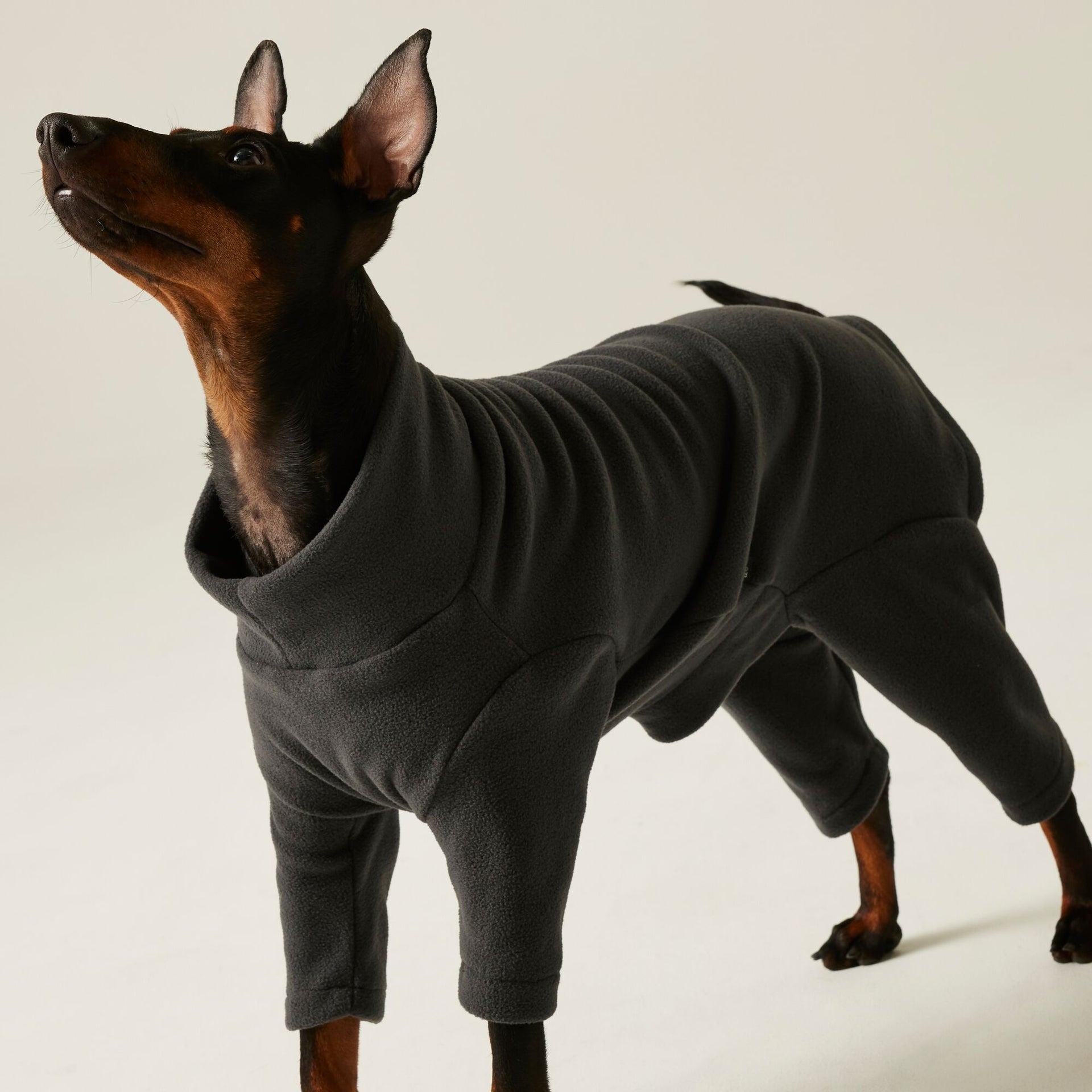 Regatta Dog Mud Suit - Ash