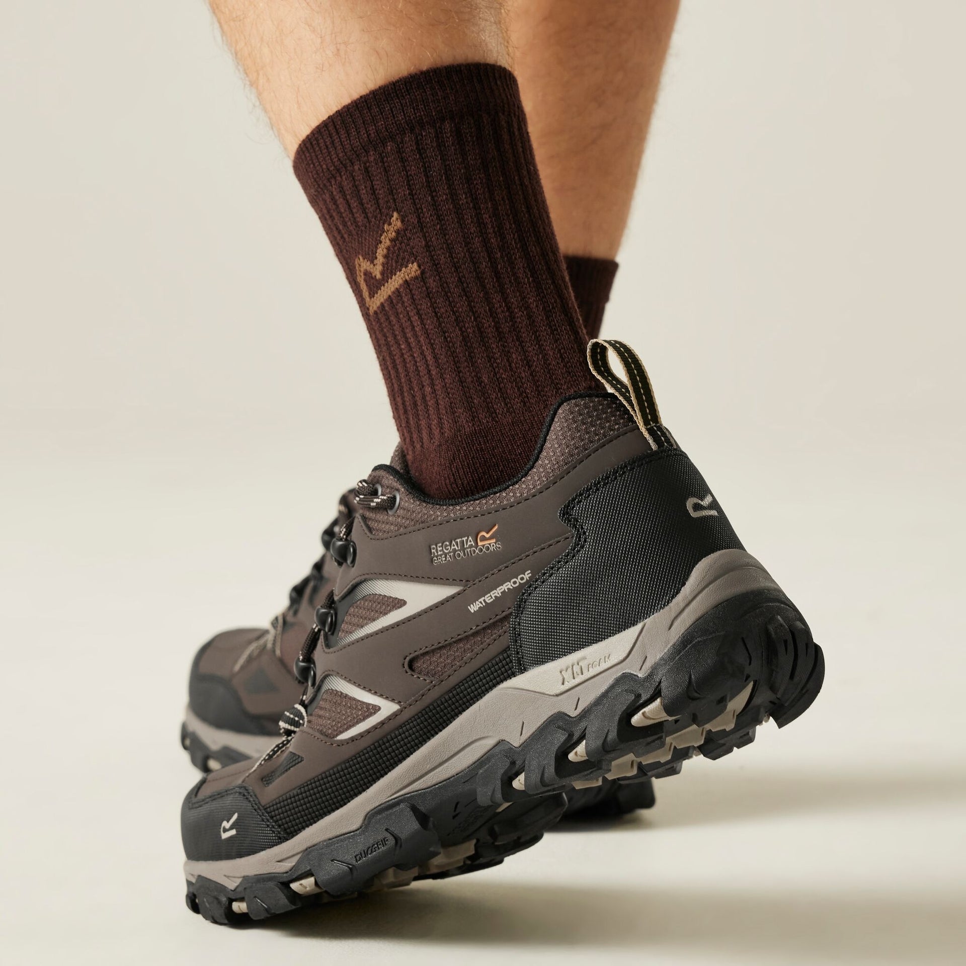 Regatta Holcombe III Low Men's Walking Shoes - Peat