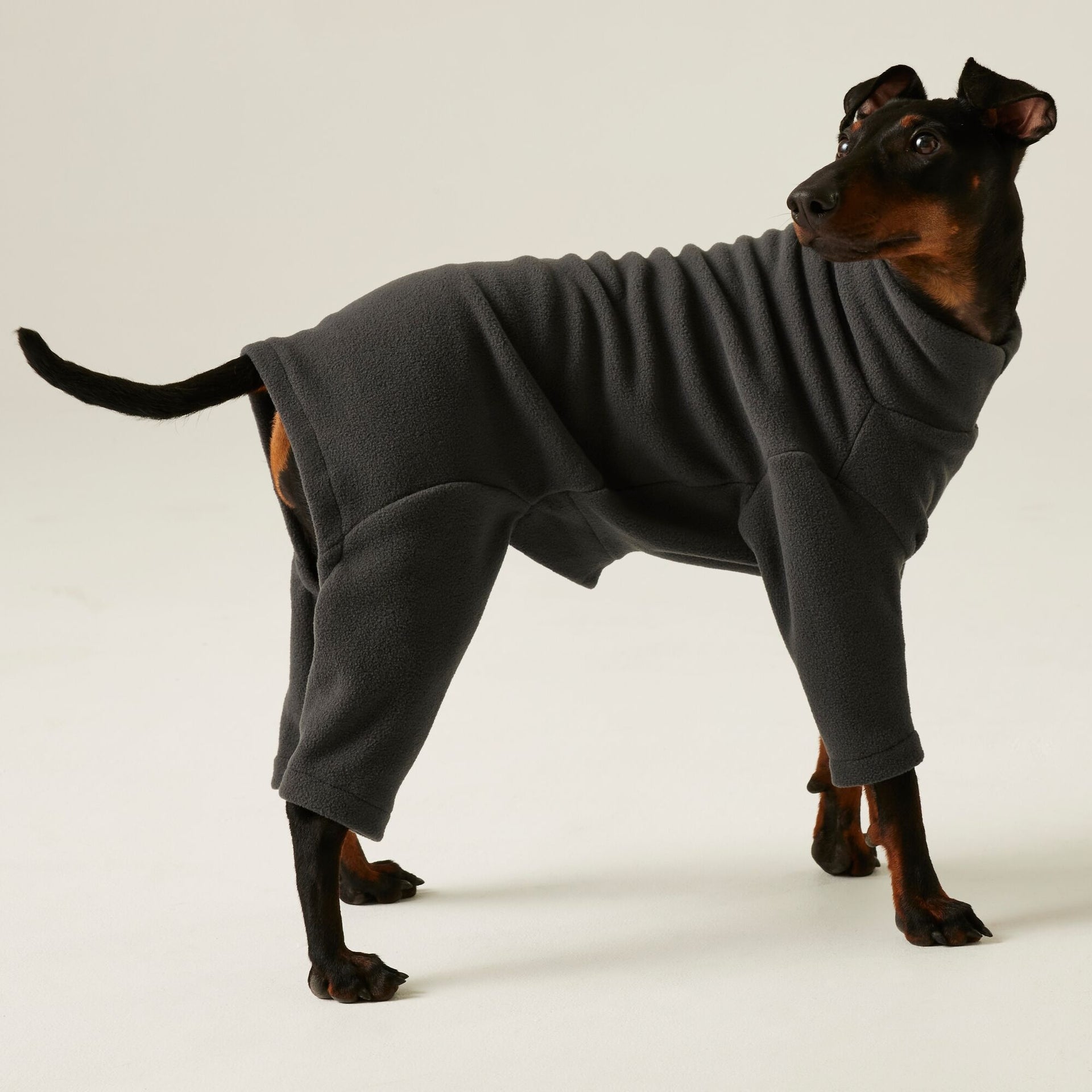 Regatta Dog Mud Suit - Ash