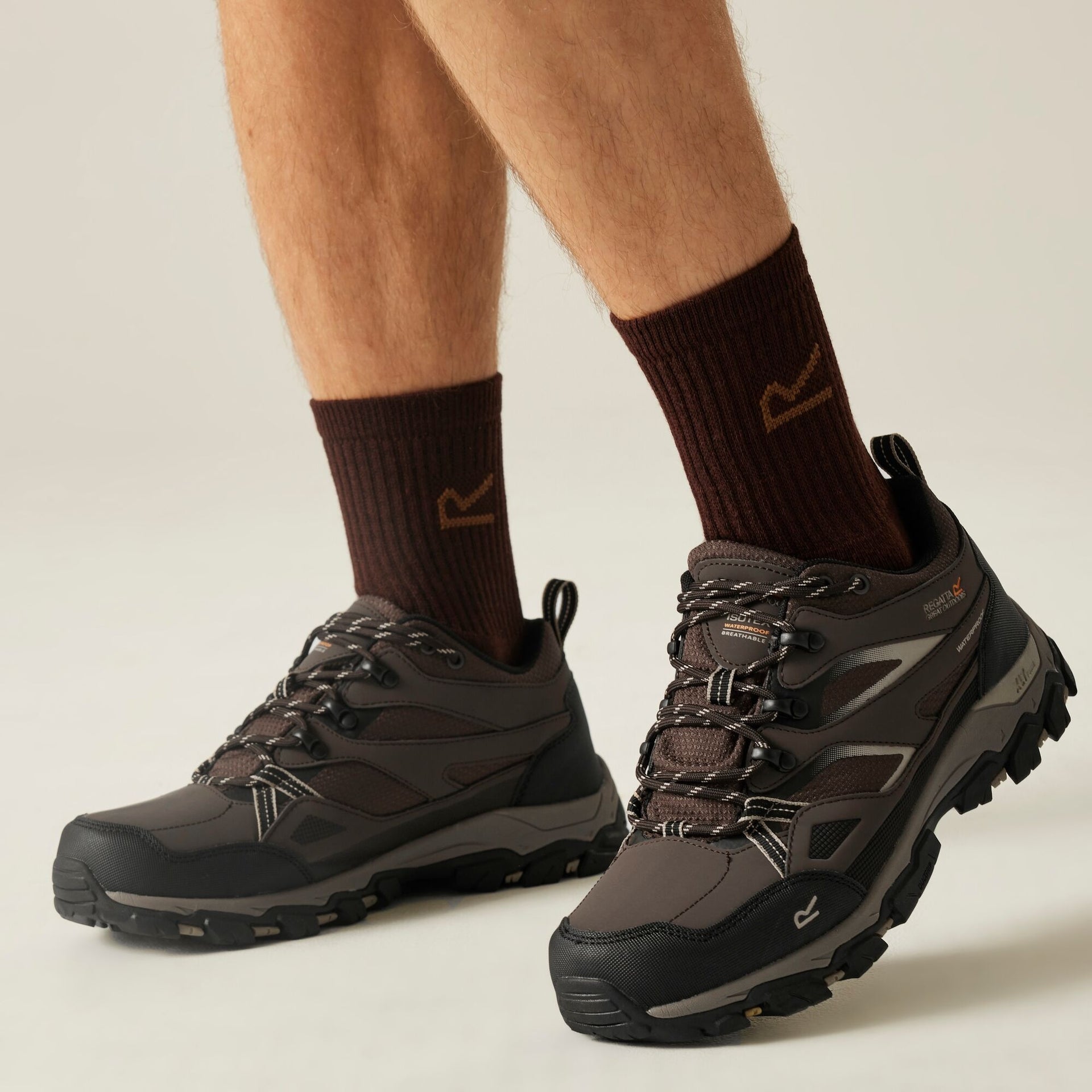 Regatta Holcombe III Low Men's Walking Shoes - Peat